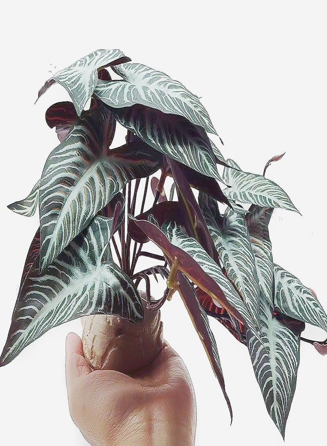 KERUIDENG Reptile Plants,Terrarium Decor,Amphibian Habitat Decor,Artificial Plants for Gecko Chameleon Snake Tortoise Tank Accessories with Base(Xanthosoma sagittifolium) - Image 3